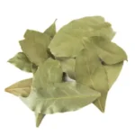 برگ بو