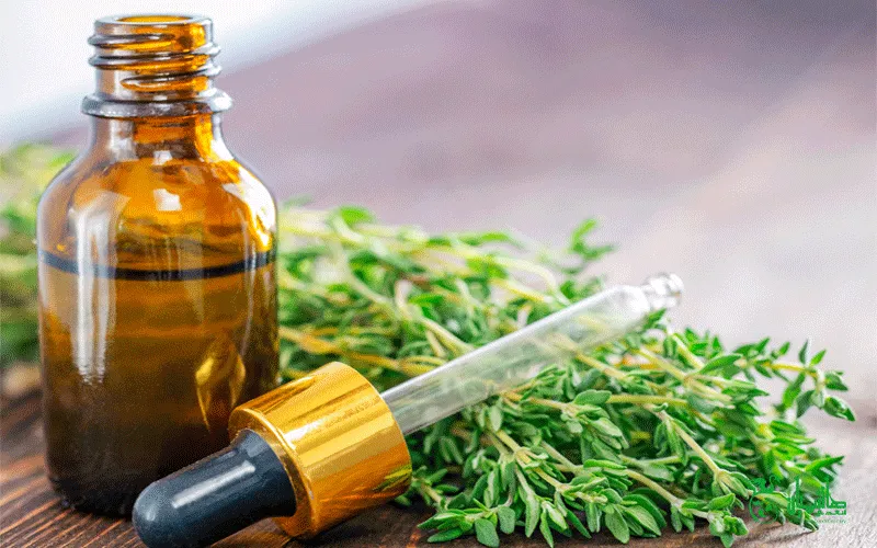 زوغن آویشن خالص و درجه یک در عطاری هاشمیان