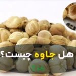 هل جاوه درجه یک در عطاری هاشمیان