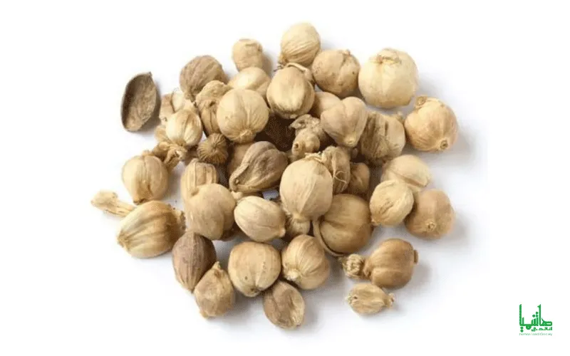 هل جاوه درجه یک در عطاری هاشمیان