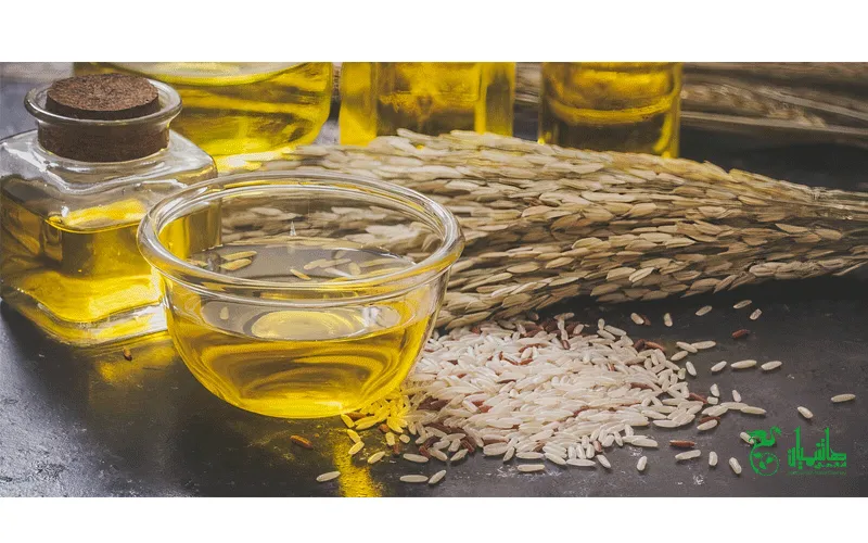 روغن سبوس برنج خالص و درجه یک در عطاری هاشمیان