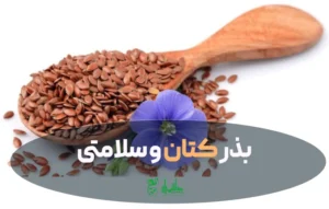 تخم کتان چیست؟ 18 خواص مهم بذر کتان برای سلامتی بدن