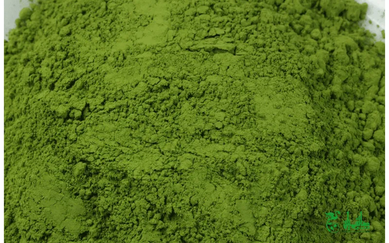 رنگ خوراکی سبز با استفاده از چای ماچا در عطاری هاشمیان