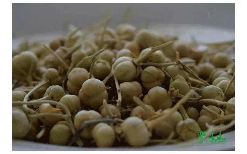 اسپند درجه یک در عطاری هاشمیان