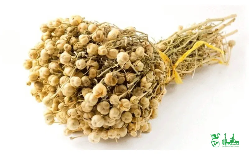 اسپند درجه یک در عطاری هاشمیان