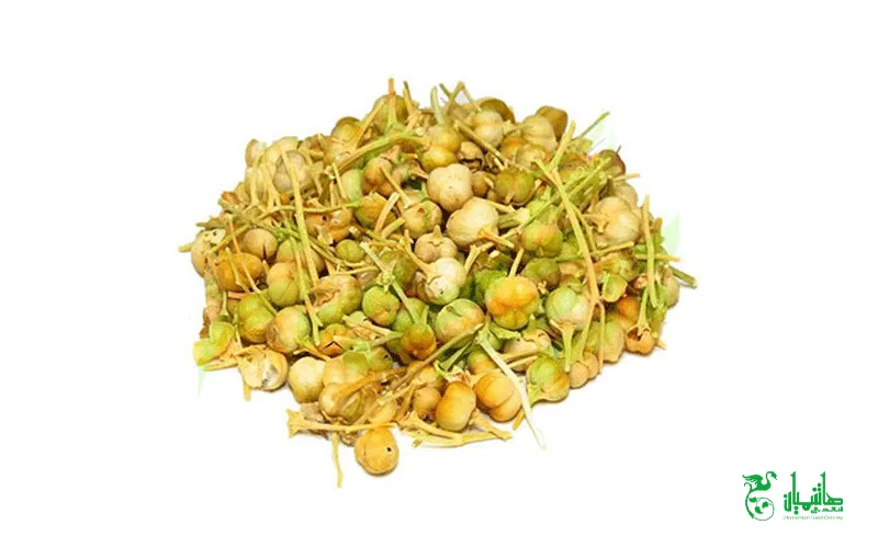 اسپند درجه یک در عطاری هاشمیان