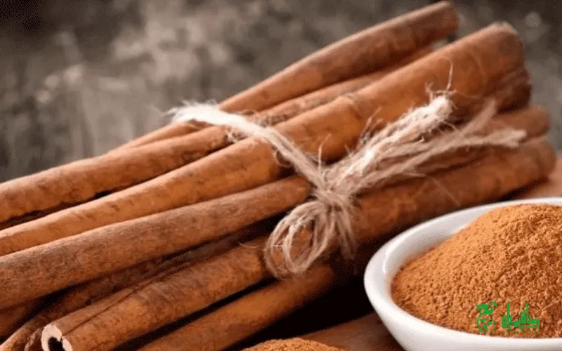 دارچین درجه یک در عطاری هاشمیان