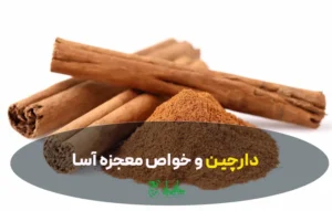 دارچین و خواص معجزه آسا