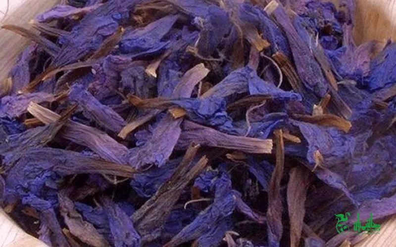 گل گاوزبان درجه یک در عطاری هاشمیان