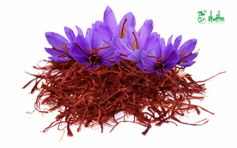 زعفران درجه یک در عطاری هاشمیان وخواص استفاده از زعفران