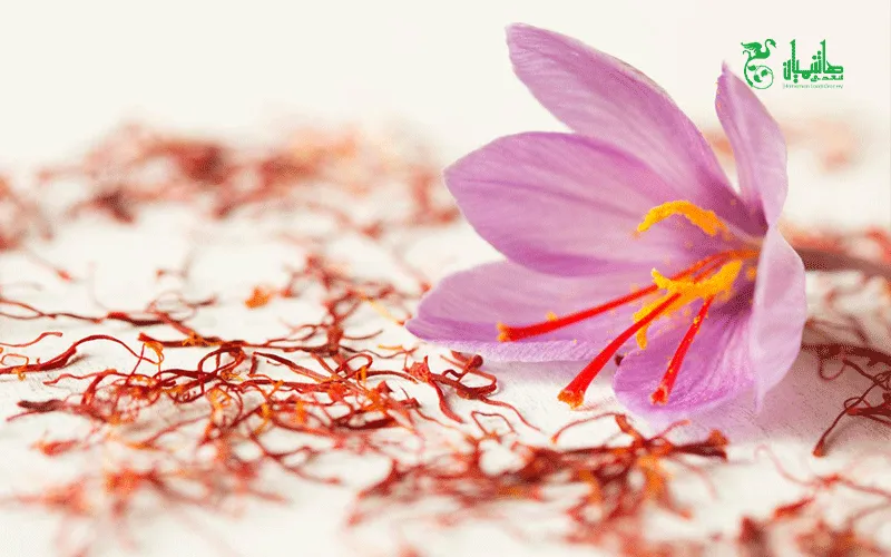 زعفران درجه یک در عطاری هاشمیان وخواص استفاده از زعفران