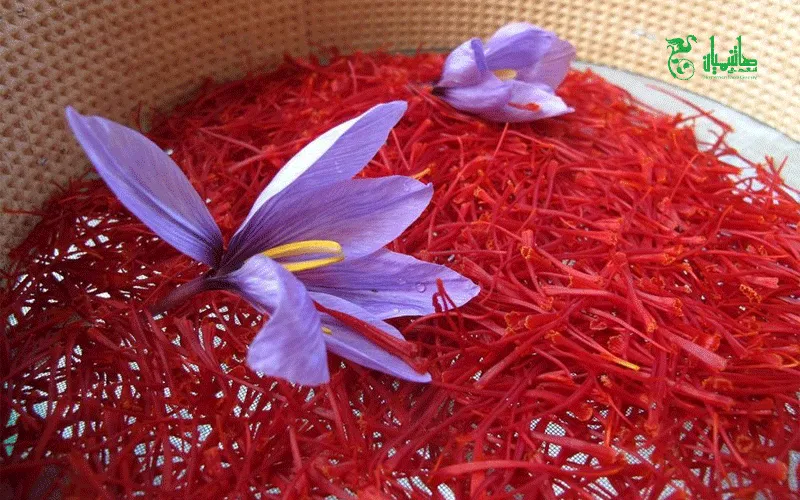 زعفران درجه یک در عطاری هاشمیان وخواص استفاده از زعفران
