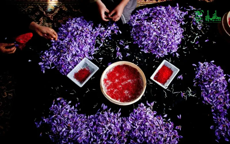 زعفران درجه یک در عطاری هاشمیان وخواص استفاده از زعفران