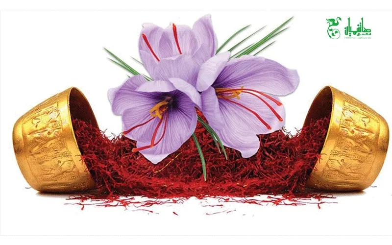 زعفران درجه یک در عطاری هاشمیان وخواص استفاده از زعفران