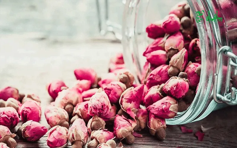 غنچه گل محمدی درجه یک در عطاری هاشمیان