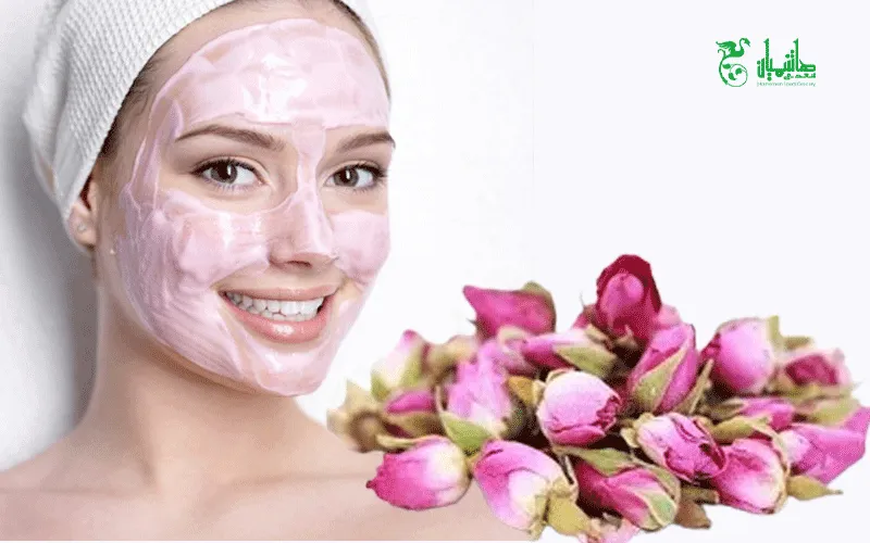 مراقبت از پوست با غنچه گل محمدی 