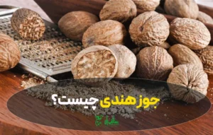 جوز هندی چیست؟ خواص، کاربردها و عوارض این ادویه شگفت‌انگیز