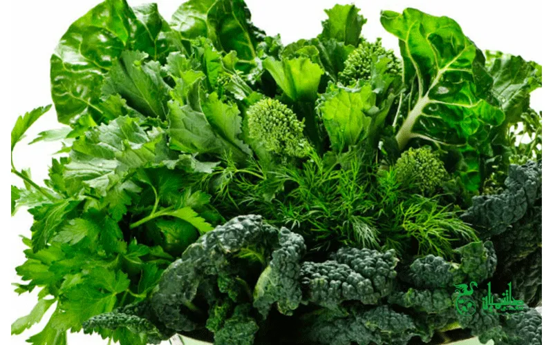 تهیه قرمه سبزی خوشمزه با ادویه قرمه سبزی عطاری هاشمیان