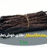 وانیل ماداگاسکار بصورت غلاف در عطاری هاشمیان