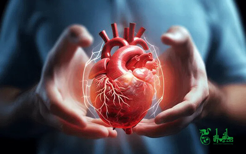 بهبود عروق از خواص گلاب