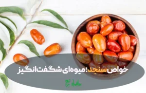 خواص سنجد؛ میوهای شگفتانگیز برای سلامت بدن