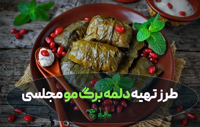دلمه برگ مو در وبلاگ تهیه دلمه برگ مو با سبزی خشک عطاری هاشمیان