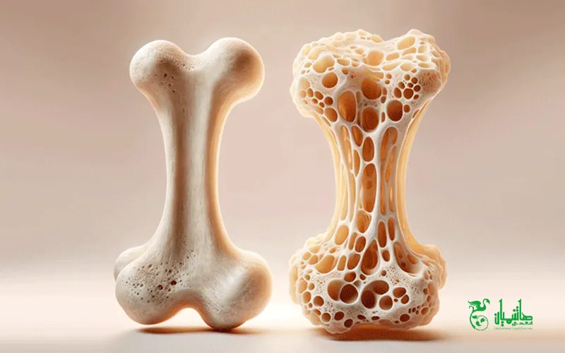 خواص سنجد برای استخوان 