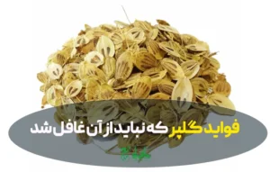 فواید گلپر که هیچ آشپزی نباید از آن غافل شود!
