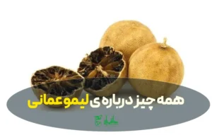 همه چیز درباره لیمو عمانی