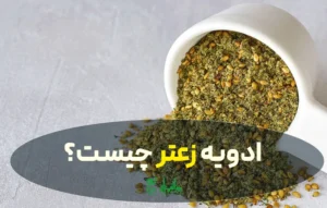 ادویه زعتر چیست؟