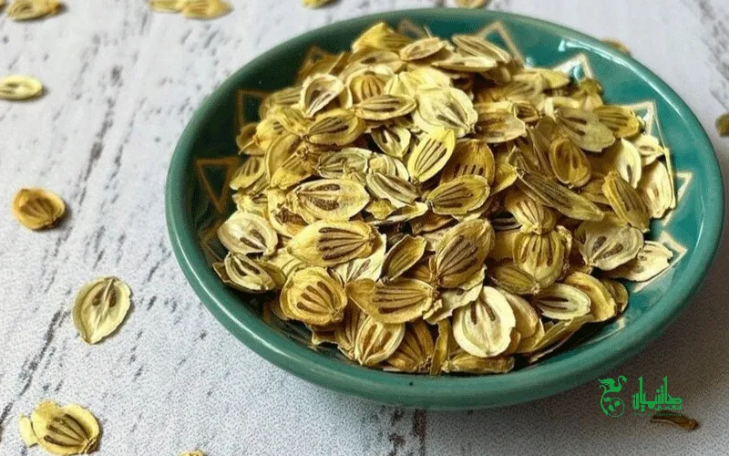 گلپر خشک در عطاری هاشمیان