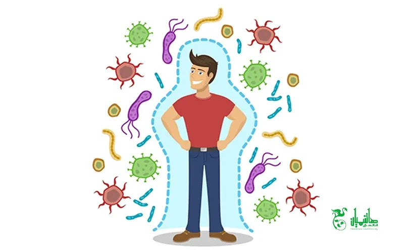 تقویت سیستم ایمنی بدن با آش 