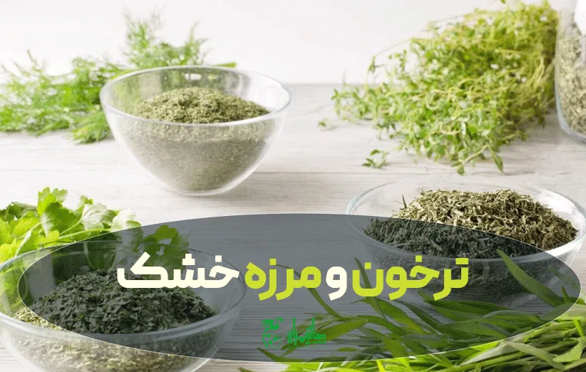 ترخون و مرزه خشک برای وبلاگ مربوط به سبزیجات خشک مانندترخون و مرزه