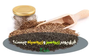 فرق پودر زیره سبز و زیره سیاه چیست؟ خواص، مضرات و بهترین کاربرد هرکدام