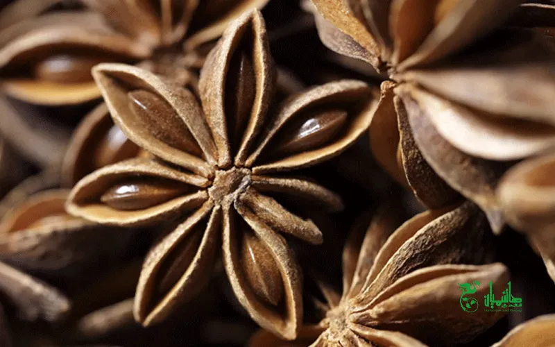 بادیان ستاره ای در عطاری هاشمیان