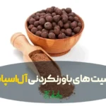 آل اسپایس در عطاری هاشمیان