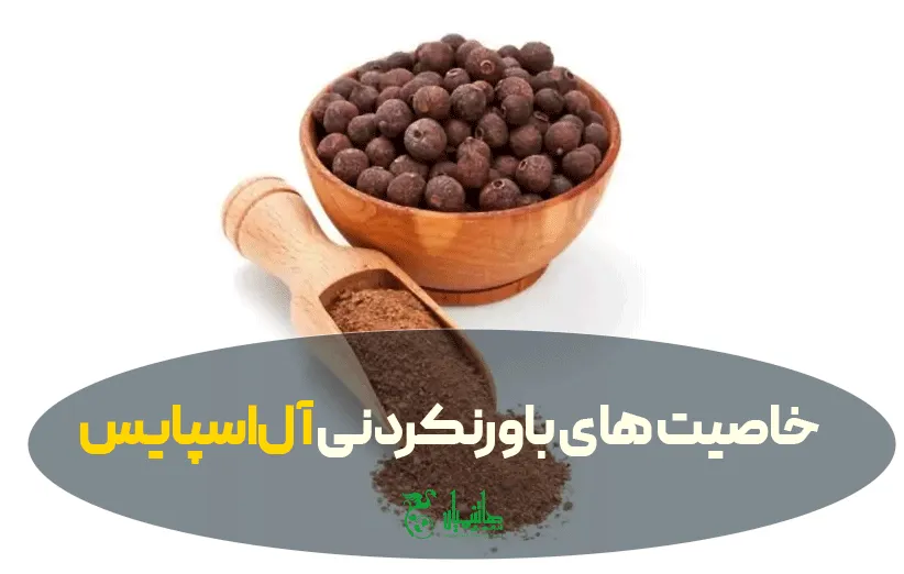 آل اسپایس در عطاری هاشمیان