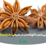 بادیان ستاره ای