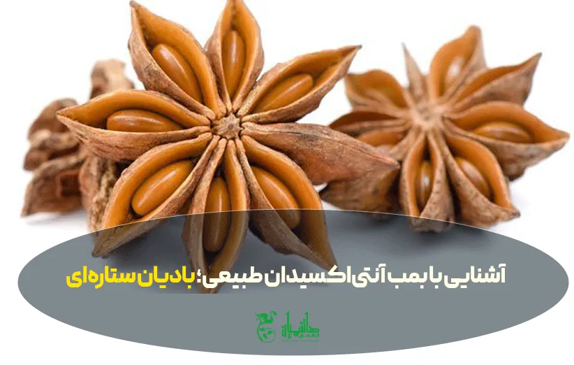 بادیان ستاره ای