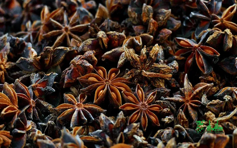 بادیان ستارهای