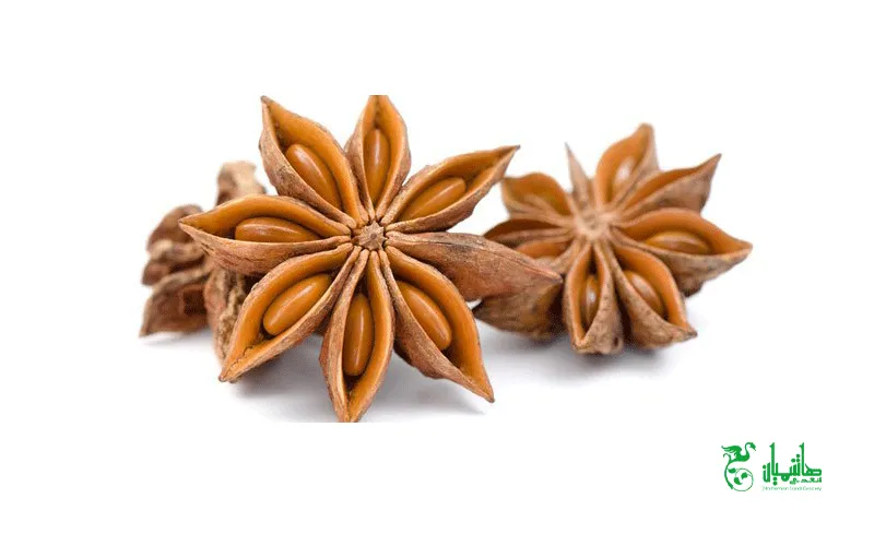 بادیان ستاره ای در عطاری هاشمیان