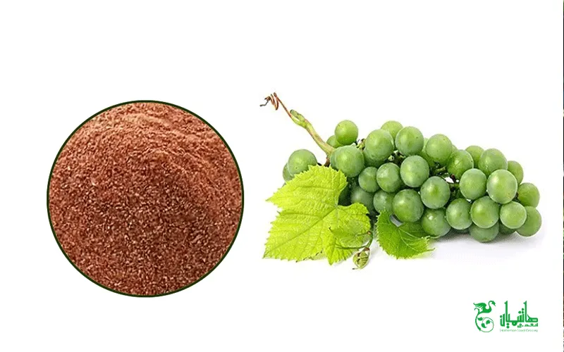 پودر غوره در عطاری هاشمیان 