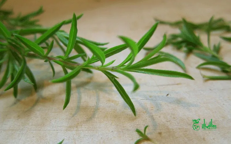 ترخون و مرزه خشک