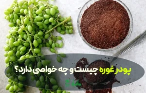 خواص و مضرات پودر غوره + طرز تهیه، کاربرد در آشپزی و نکات مصرف