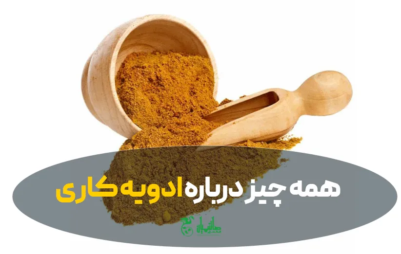 خرید ادویه کاری عطاری هاشمیان اعلا و درجه یک