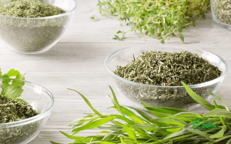 ترخون و مرزه خشک