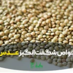 عدس درجه یک و تمییز در عطاری هاشمیان