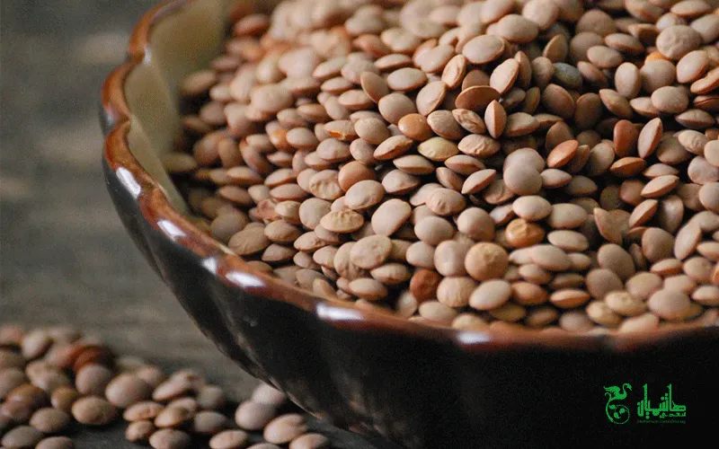 عدس درجه یک ایرانی