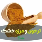 ترخون و مرزه خشک برای وبلاگ مربوط به سبزیجات خشک مانندترخون و مرزه