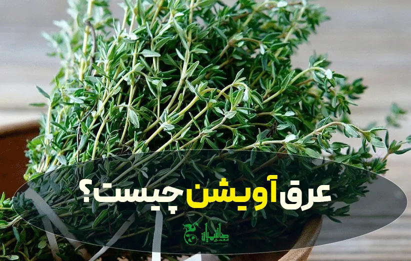 عرق آویشن چیست؟